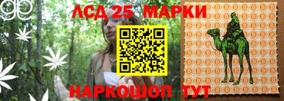гидропоника Янаул