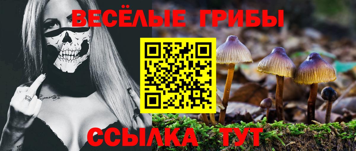 Псилоцибиновые грибы Magic Shrooms  Галлюциногенные грибы Psilocybe  Вход с VPN  Баксан 